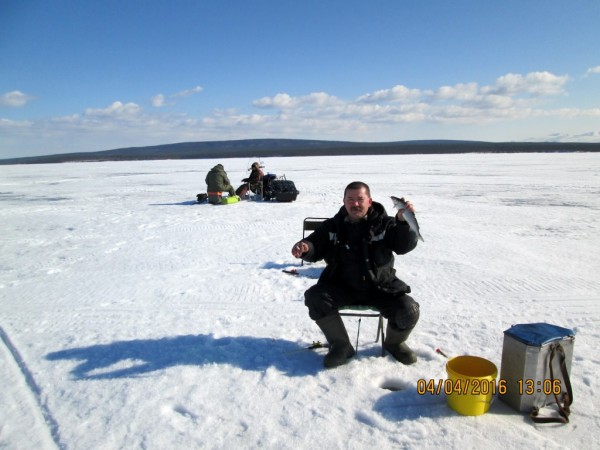 Печгуба сиги (3).JPG