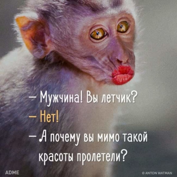 image (4).jpg