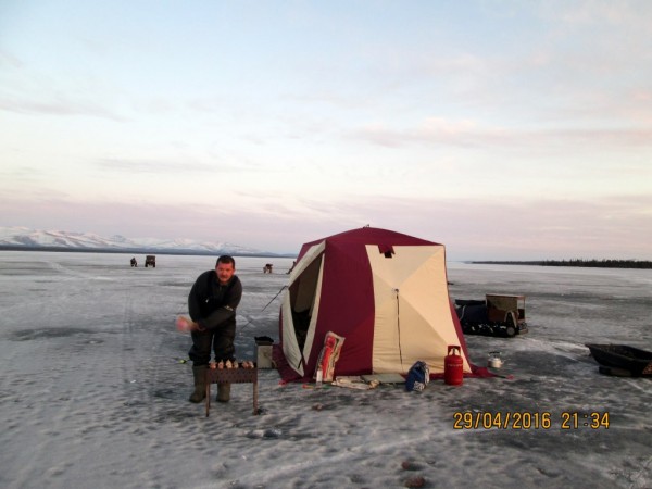 Печгуба-миражи (8).JPG