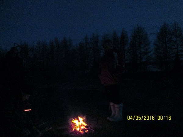 ЯБ дачи (19).JPG