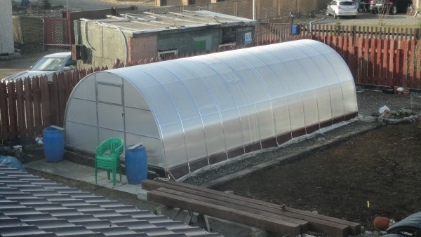 Теплица.jpg