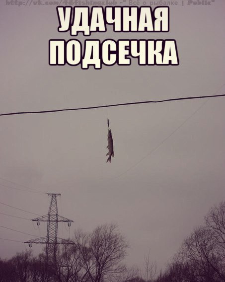 щука.jpg