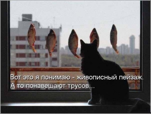 трусы.jpg
