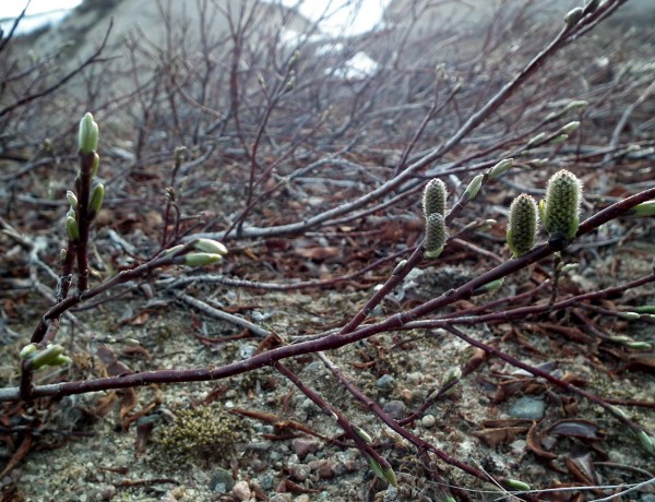 DSCF5675кадр80.jpg