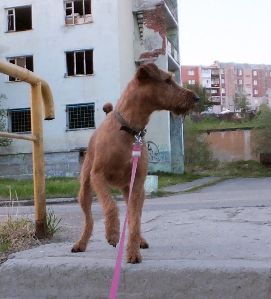 DSCF2834кадр80.jpg