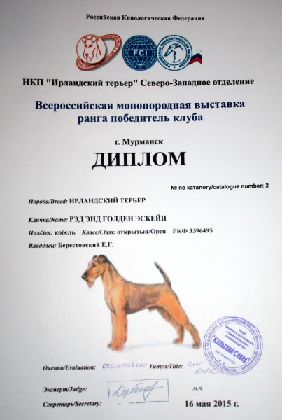 Изображение 030кадр80.jpg