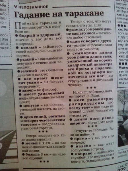TMQ0-pLBCO4.jpg