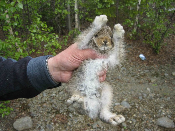 IMG_0969 - копия.JPG