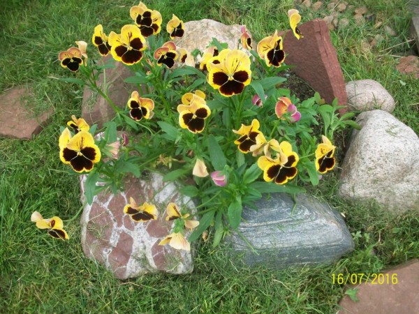 100_5262.JPG