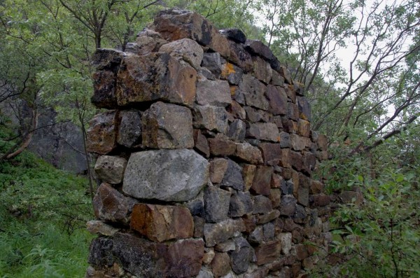 DSC_0445.jpg