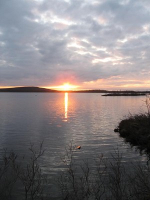 IMG_2585.jpg