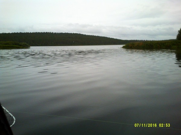 DSCF0456.jpg