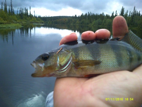 DSCF0470.jpg