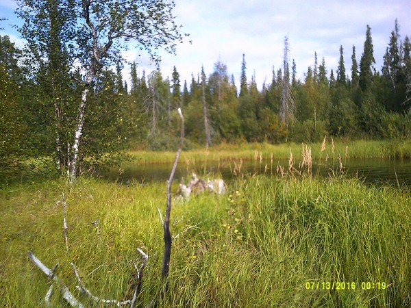 DSCF0532.jpg