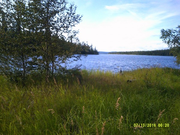 DSCF0534.jpg