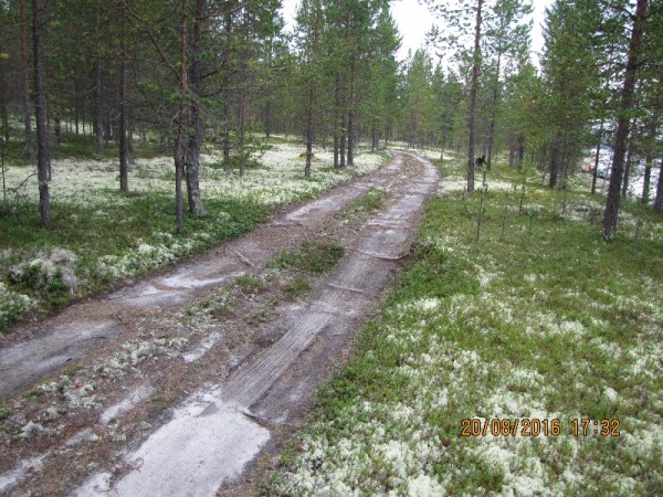 дорога.jpg