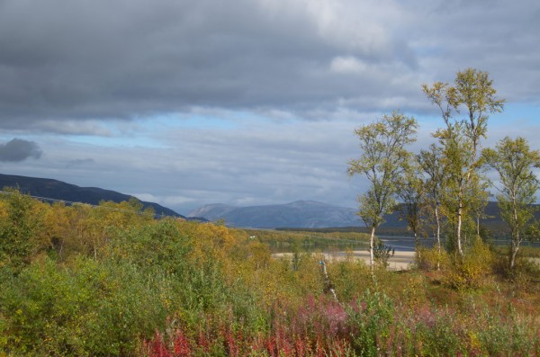 DSC_0953.JPG