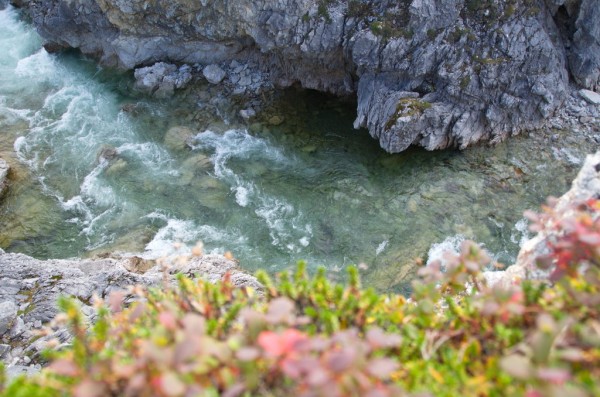 DSC_0109.JPG