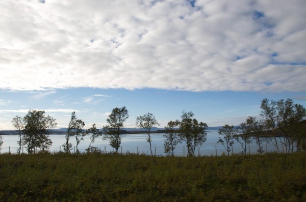 DSC_0113.JPG