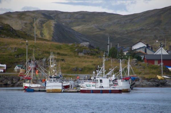 DSC_0166.JPG