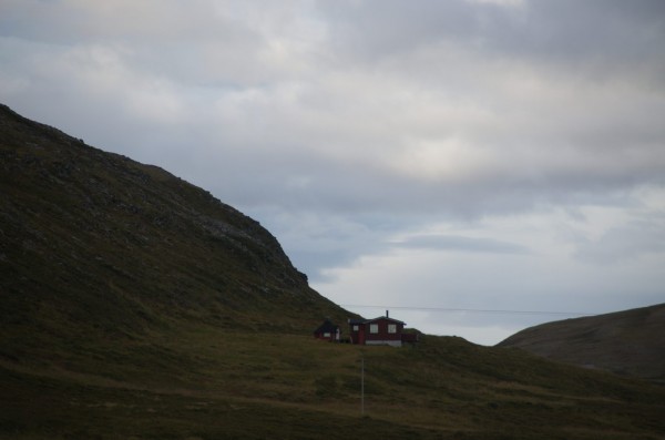 DSC_0198.JPG