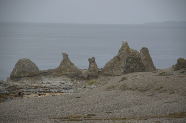 DSC_0515.JPG
