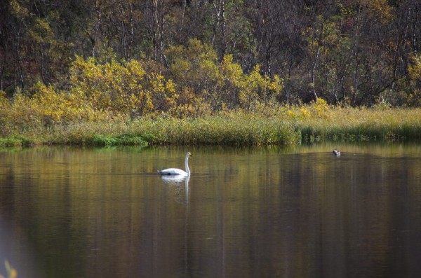 DSC_0568.JPG