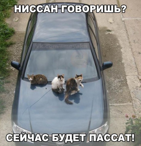 39b5d10269b5.jpg