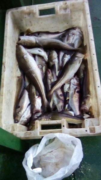 _Vz8L-V4V6A.jpg (137.19 КБ) Просмотров: 6326 _Vz8L-V4V6A.jpg