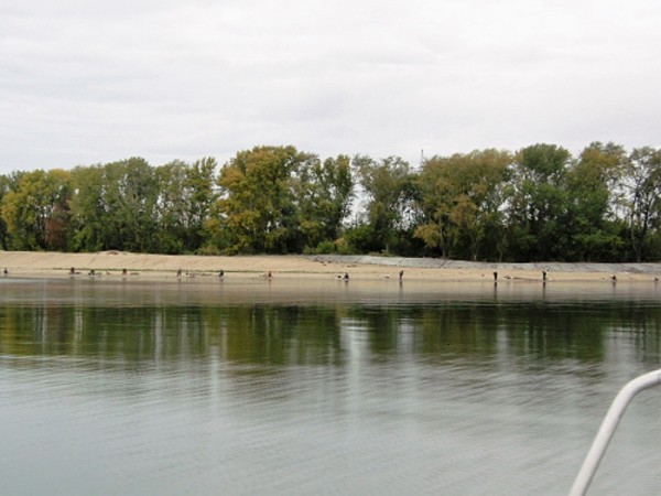 CIMG0024.jpg