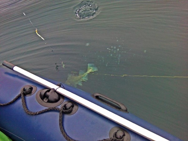 IMG_20160920_134139.jpg (75.96 КБ) Просмотров: 2288 IMG_20160920_134139.jpg