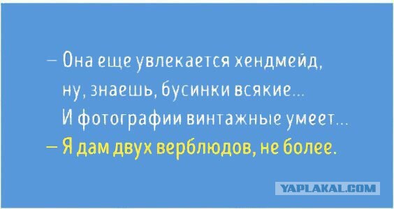 2 верблюда.jpg