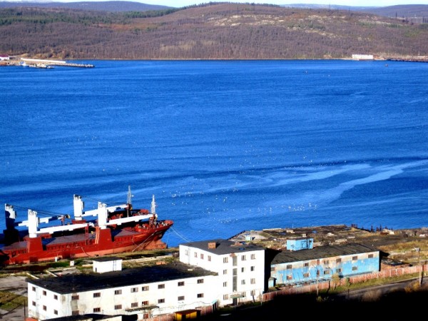 бакланы 002.jpg