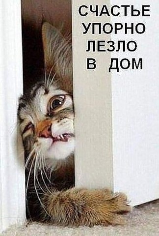 к.jpg