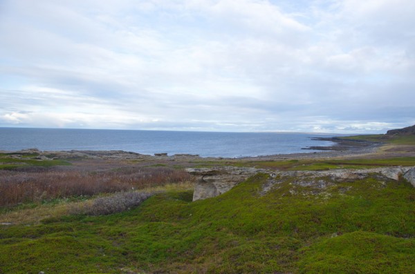 DSC_0706.JPG