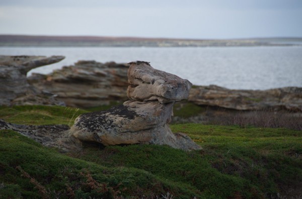 DSC_0733.JPG