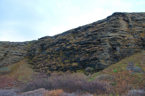 DSC_0775.JPG
