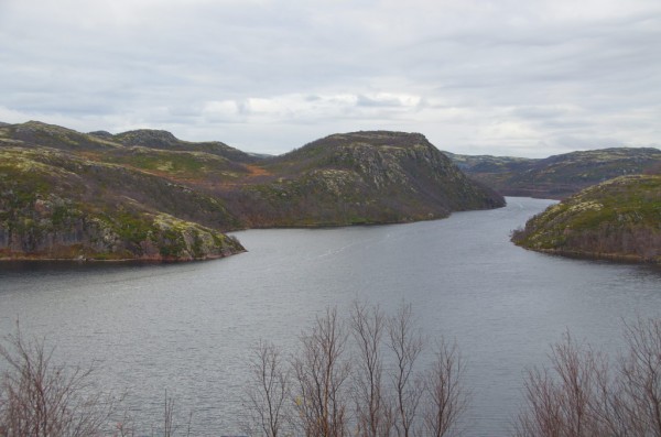 DSC_0424.JPG