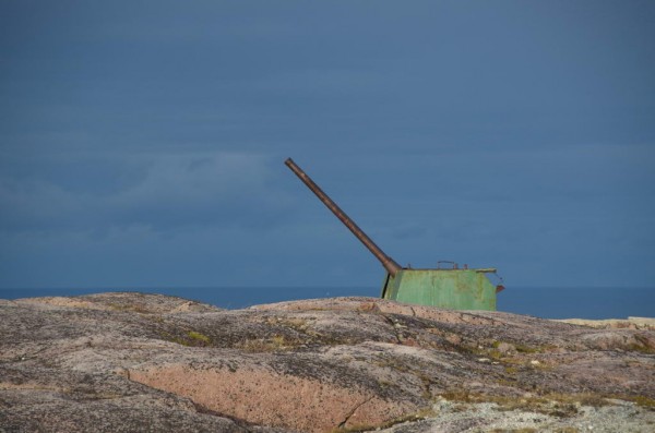 DSC_0459.JPG