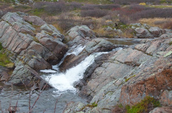 DSC_0552.JPG