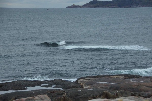 DSC_0612.JPG