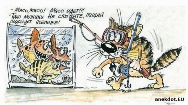 кот на рыбалку.jpg