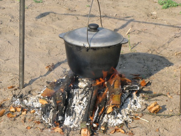 013. Баклан в новом котелке.jpeg