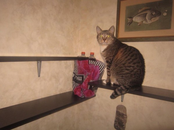 IMG_4788 - копия.JPG