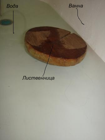 DSC00006.JPG