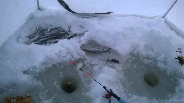 WP_20170119_008.jpg
