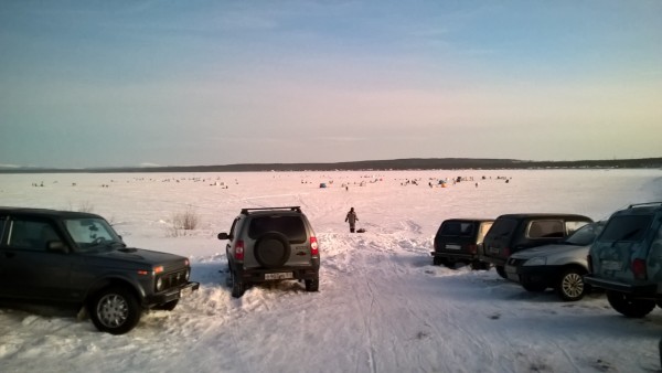 WP_20170128_09_45_46_Pro.jpg