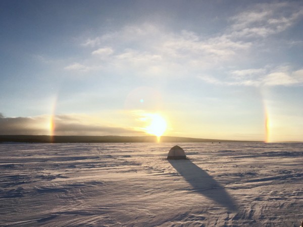 1-2017-02-04 11-04-56.JPG