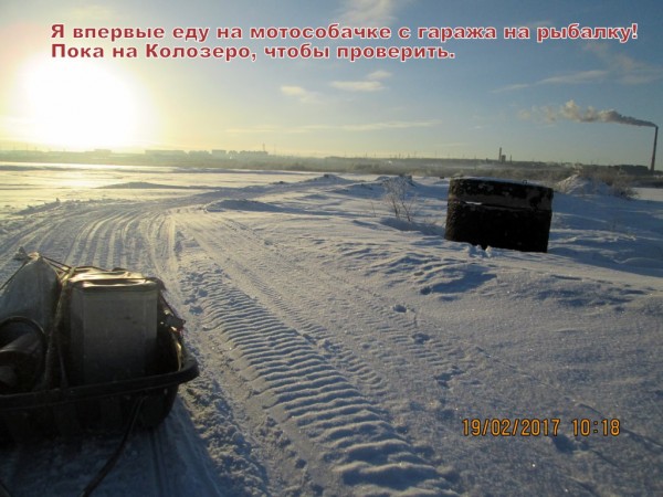 Первый выезд на собачке с гаража (1).JPG