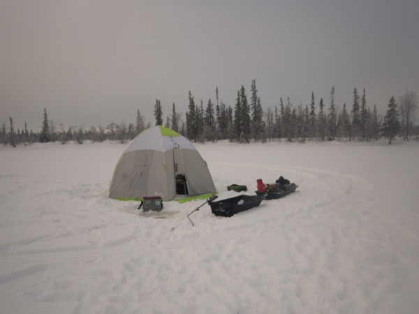 IMG_5546.JPG